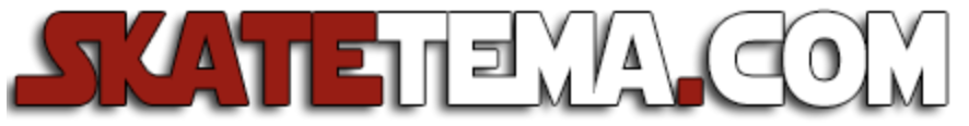 SkateTema logo