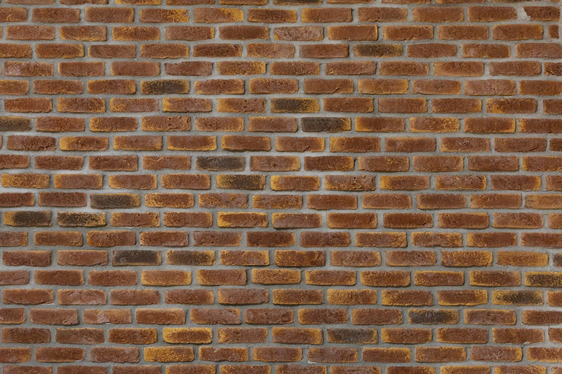 neven-krcmarek-dRKqzgEU6D8-unsplash.jpg